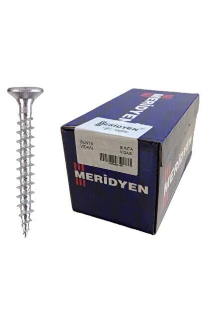 Meridyen 6.0mm Sunta Vidası
